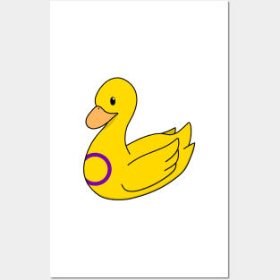 Intersex Duck Posters and Art